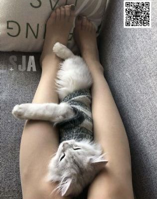 真爱无价泰剧普通话免费观看_4K动漫免费观看
